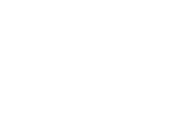 vile-quebec-logo-cropped